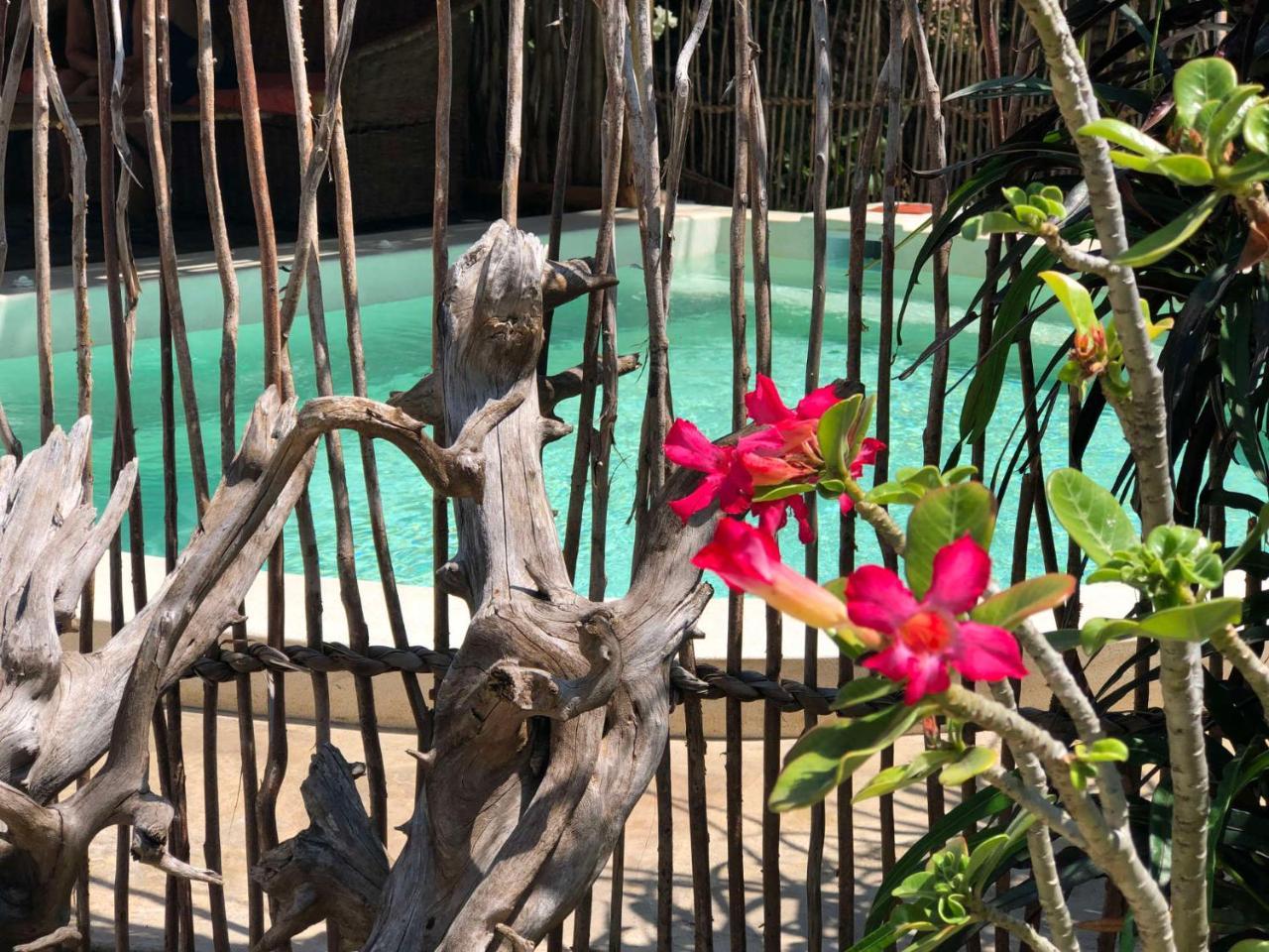 Zawadi Residence Watamu Eksteriør billede